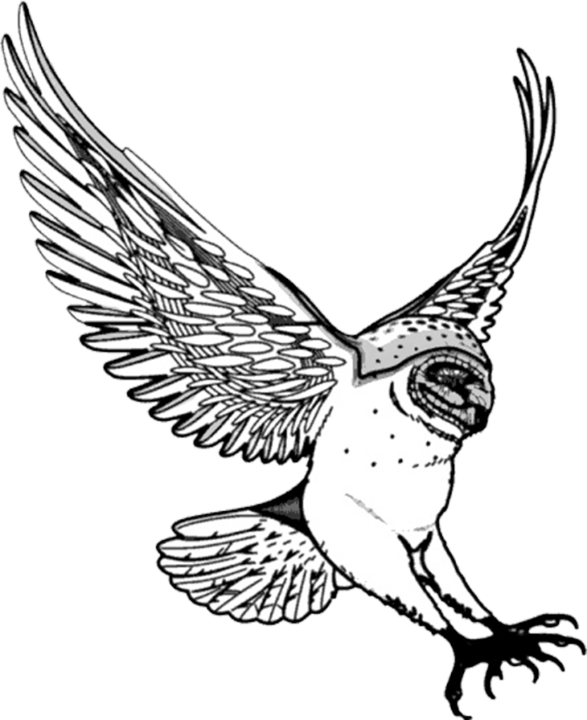Flying Owl - Flying Owl Clipart Black And White (834x1024)