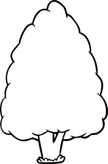 Line Drawing Of A Tall Tree - Vector Graphics (362x550)