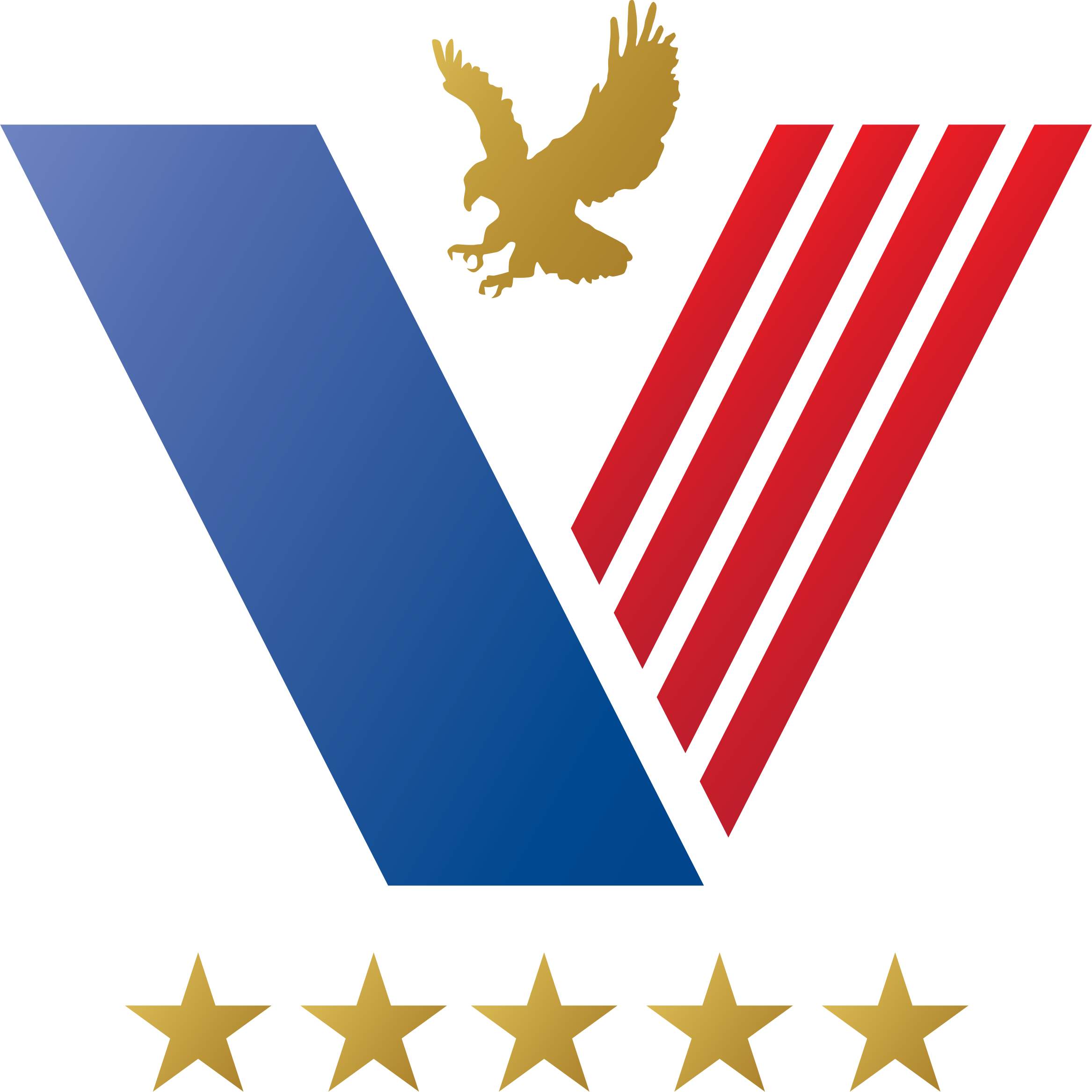 Big Image - Veterans Logo (2334x2334)