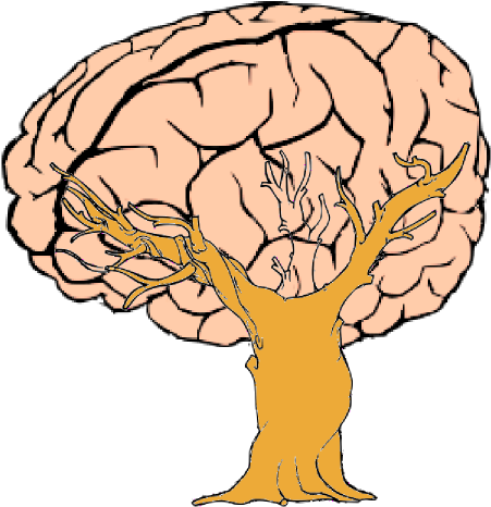 Brain Tree Clip Art - Brain Cartoon Transparent Background (600x480)
