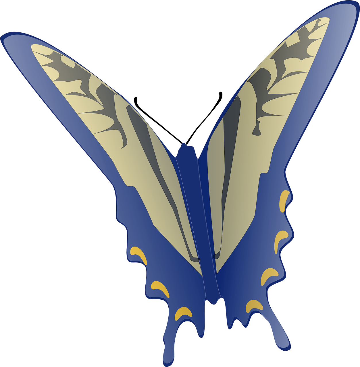 Butterfly Clip Art At Clker - Animated Flying Butterfly Gif (1253x1280)