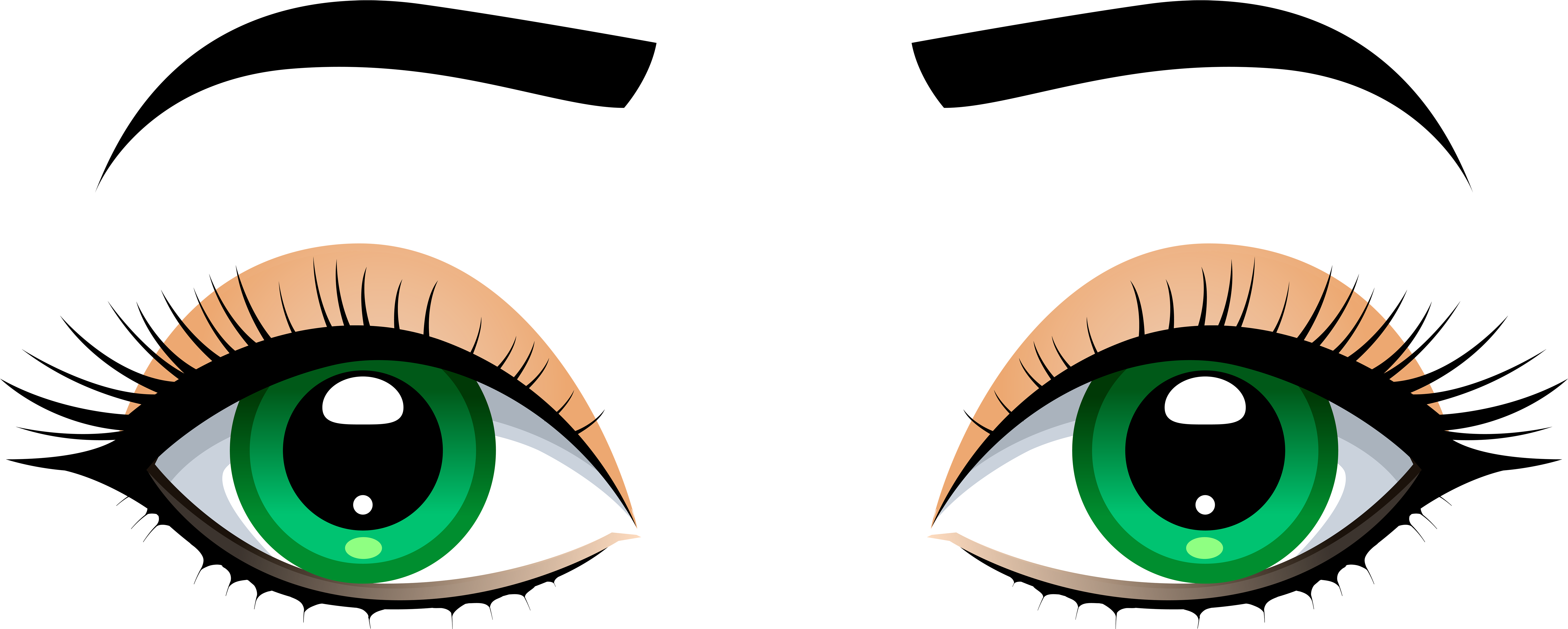 Female Eyes With Eyebrows Png Clip Art - Eyebrows Clipart (8000x3239)