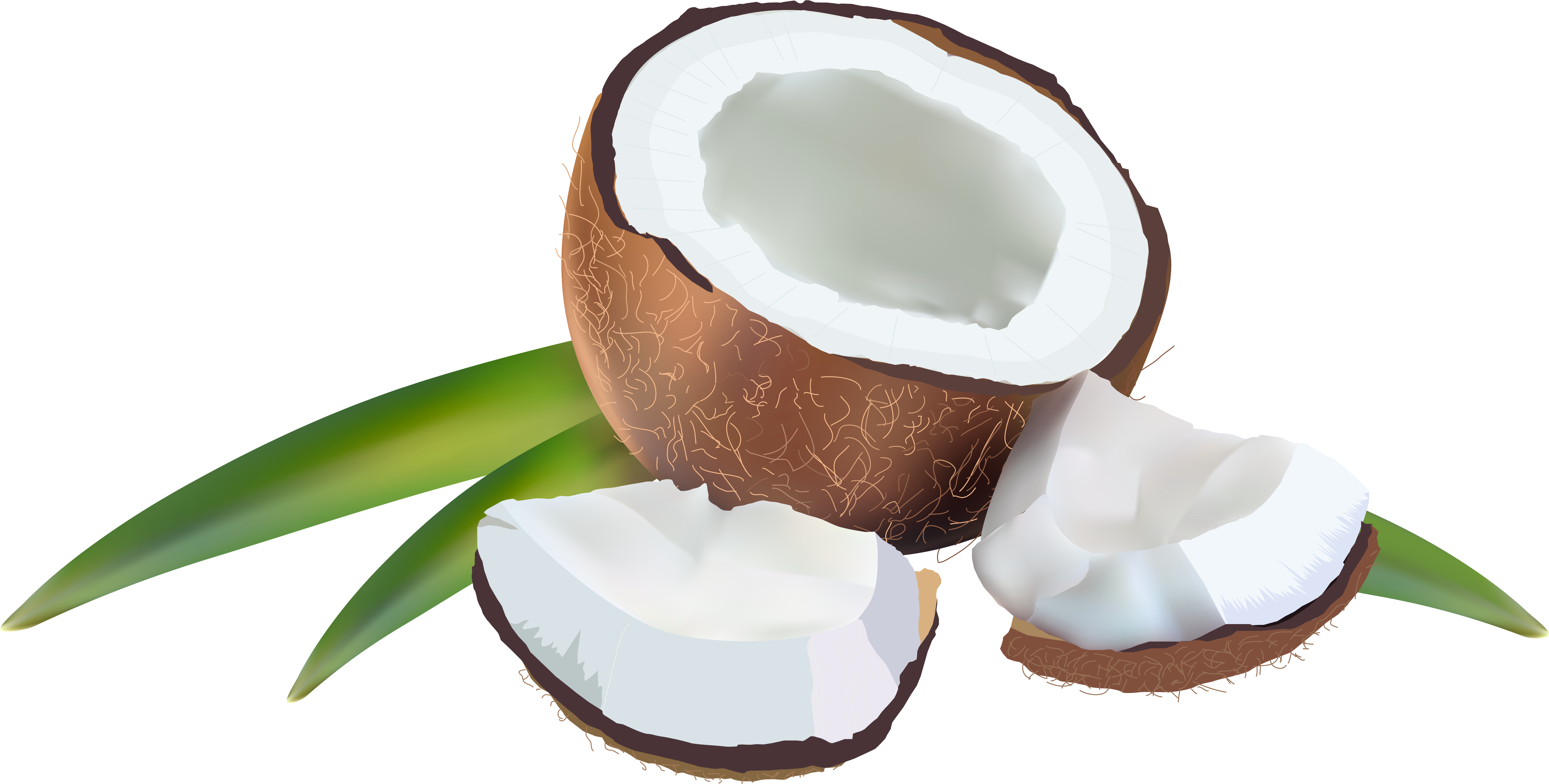 Coconut Transparent Png Image - Coconut Transparent Png Image (6242x3161)