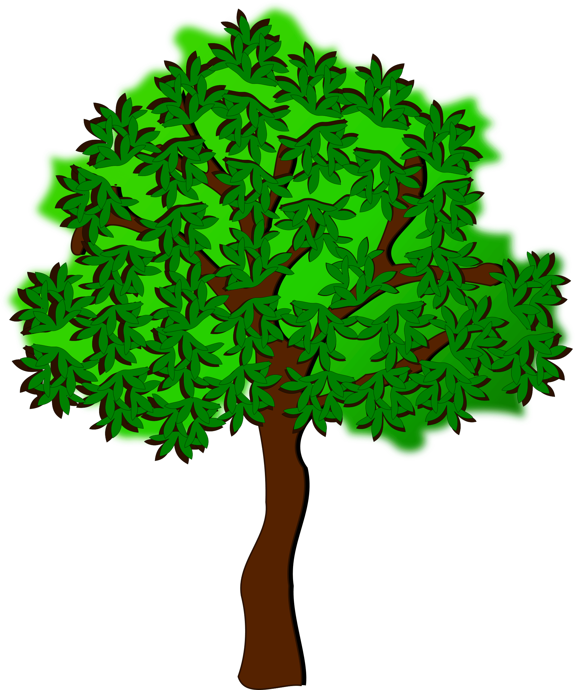 Clip Art, Flora, Nature, Plant, Tree - Summer Tree Clip Art (750x750)