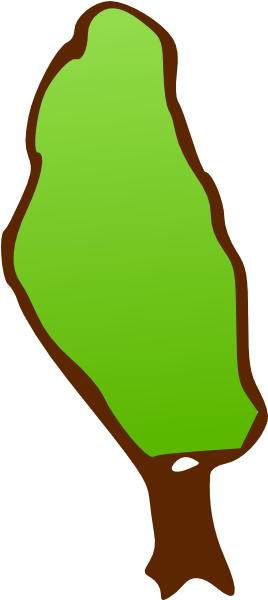 Tall Skinny Tree Clip Art - Clipart Skinny Tree (324x599)