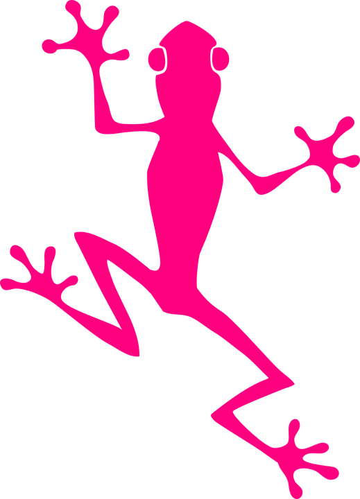 Frog Climb Pink Amphibian Animal Nature Wildlife - Frog Graphic (519x720)
