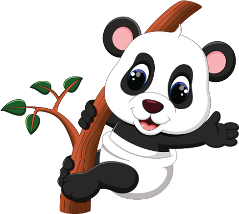 Baby Panda Climbing Bamboo Tree - Cute Baby Panda Cartoon (500x500)