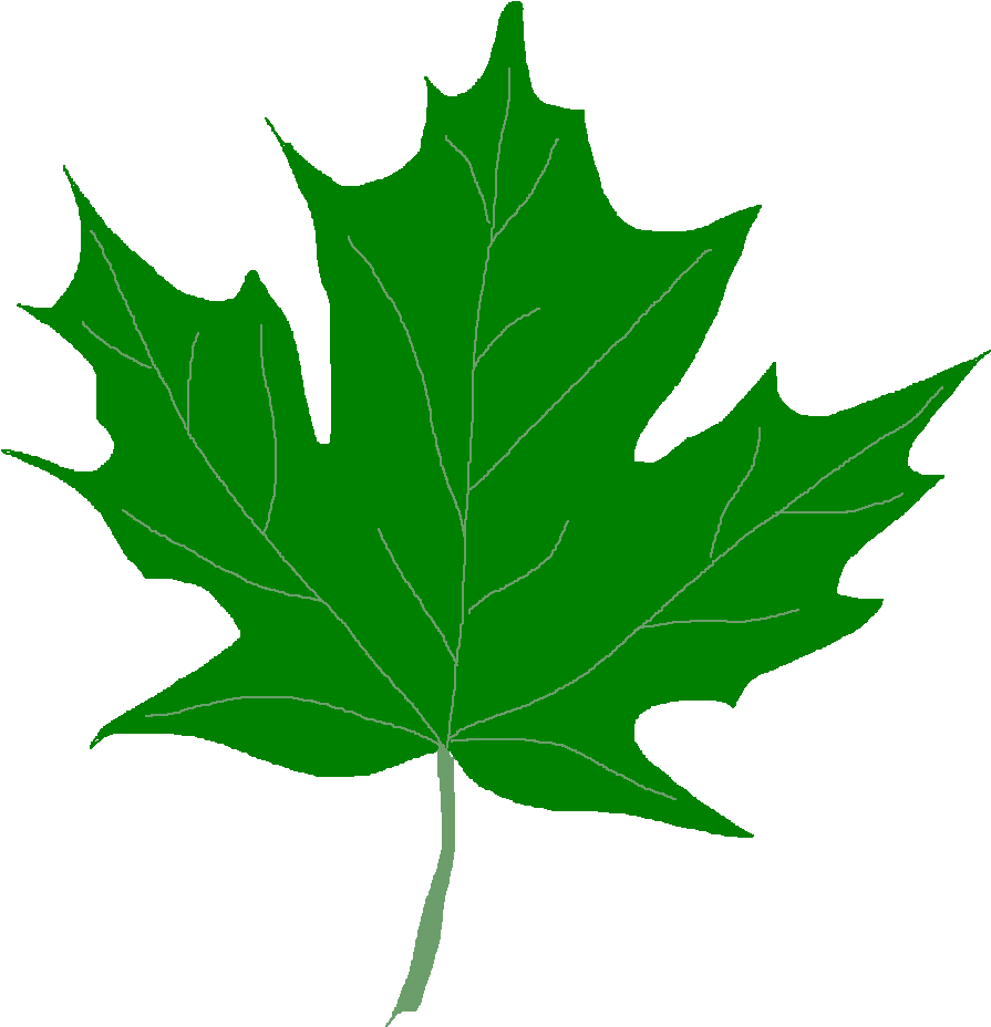 Leaves Clip Art - Green Fall Leaves Clip Art (921x967)