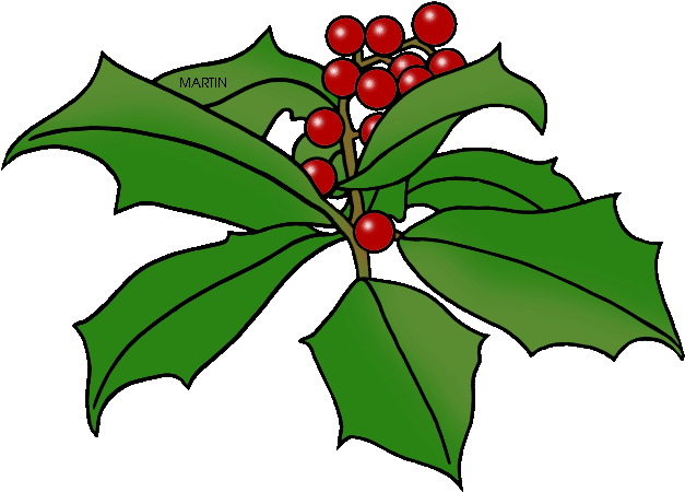 State Tree Of Delaware - State Tree Of Delaware (648x453)