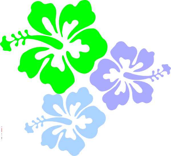 Hibiscus Flower Clip Art - Hibiscus Clip Art (600x545)