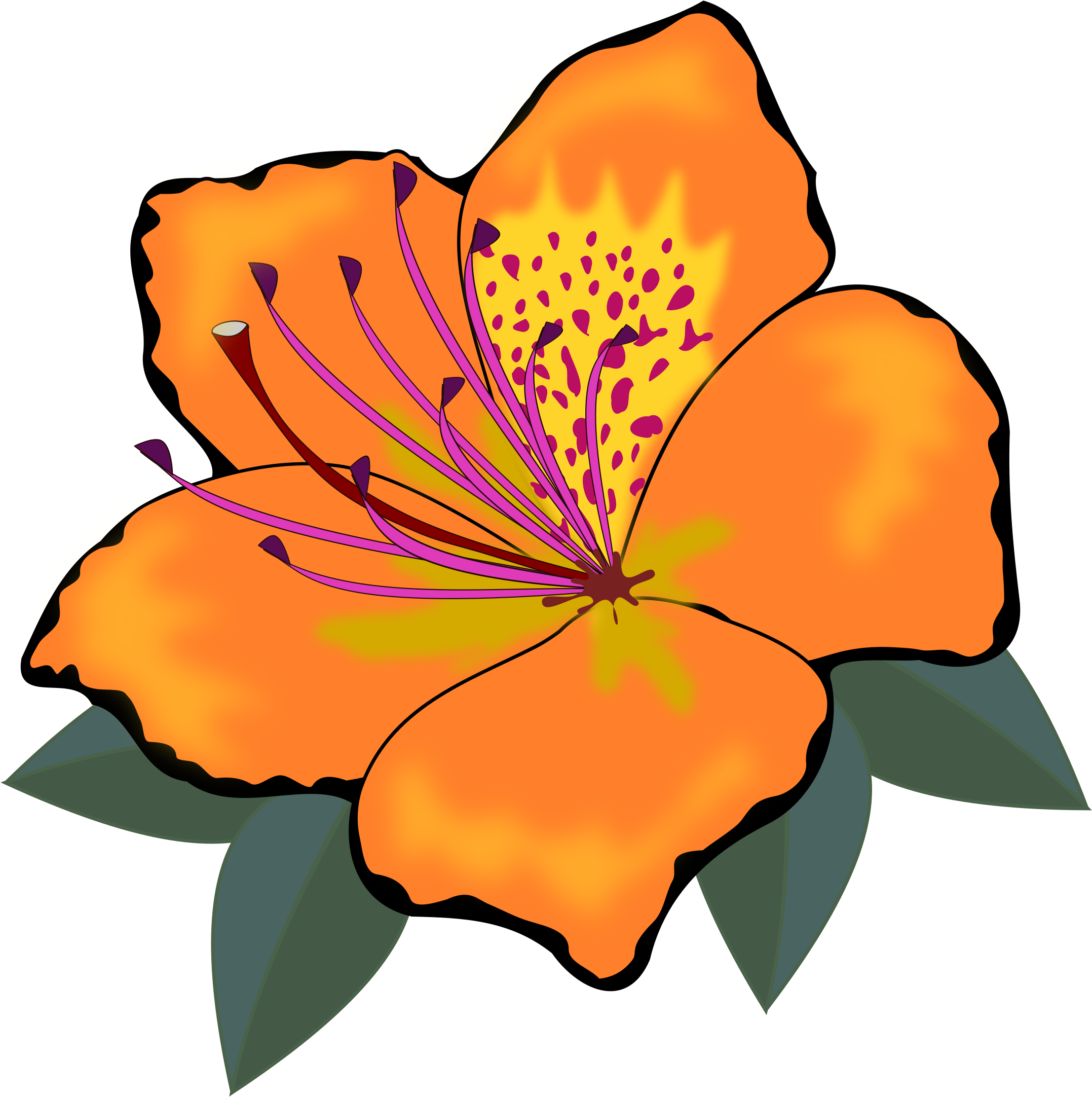 Orange Flowers Cliparts - Orange Flowers Clip Art (2400x2400)