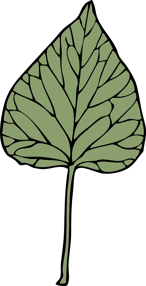 Ivy Leaf Clip Art Vines Leaves Growing G2ov3s Clipart - Clip Art (513x1000)