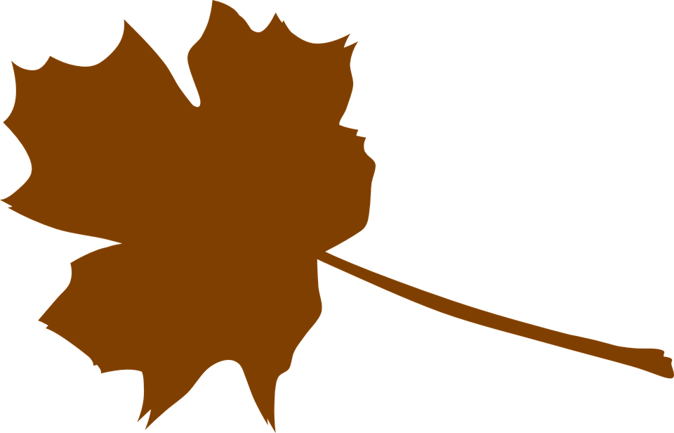 Foliage Clipart Brown Leaf - Brown Fall Leaf Clip Art (960x616)