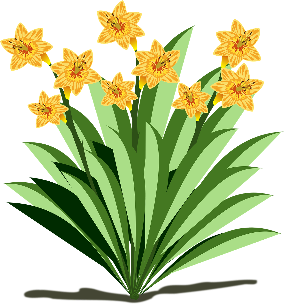 Clip Art Flor Flora Flower Nature Plant Cl - Fun Facts About Plants (1172x1280)
