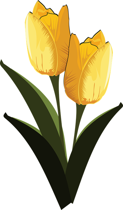 Clip Art, Flor, Flora, Flower, Nature - Clip Art (421x720)