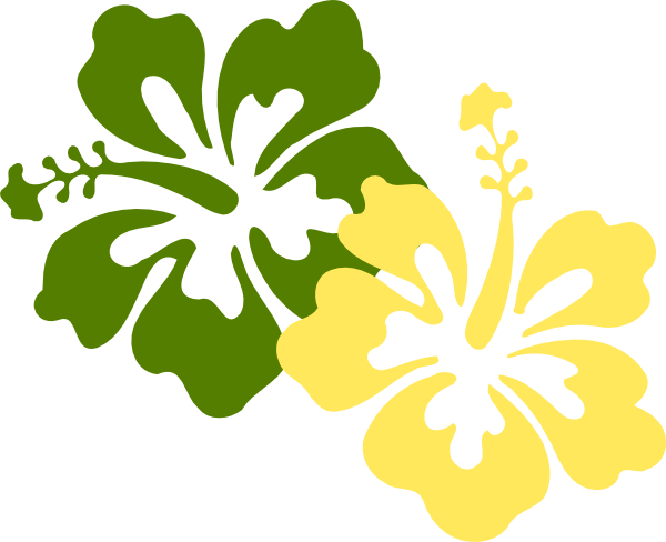 Hawaiian Flowers Transparent Background (600x488)