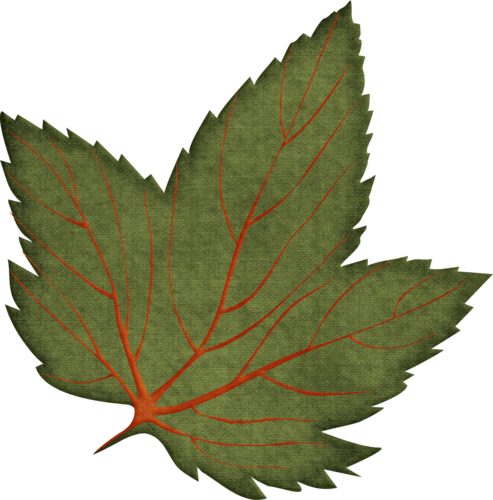 Cutepictures Альбом «скрап Наборы / Осенние / Welcome - Clipart Feuille Automne (493x500)