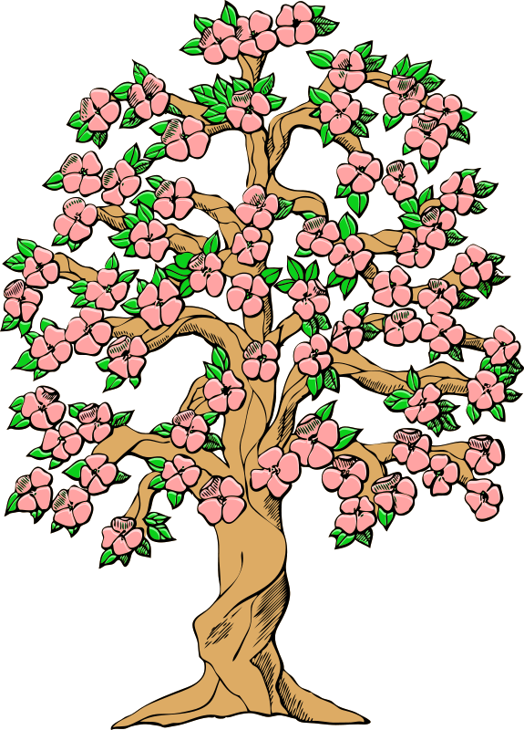 Spring Tree Clipart Transparent - Tree Clip Art (575x800)