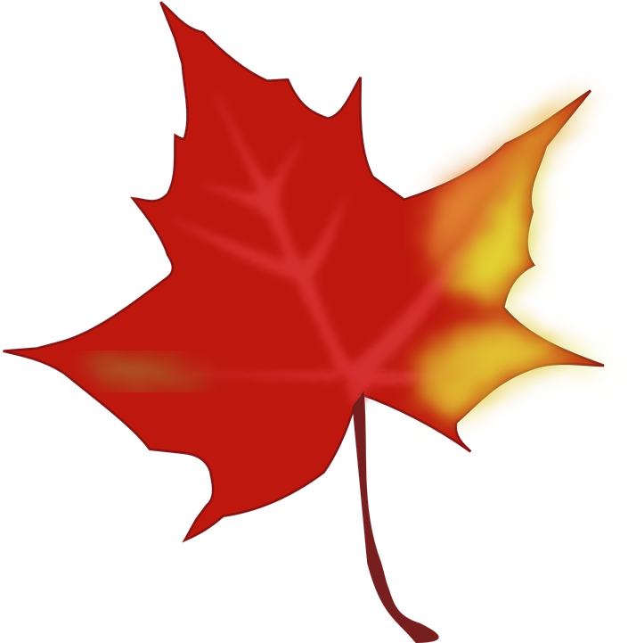 Autumn, Fall, Leaf, Maple Leaf Clipart - Fall Leaves Clipart Free (851x720)