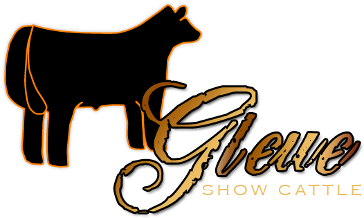 Gleue Show Cattle Welcome Ix4kv3 Clipart - Show Steers Clipart (535x324)