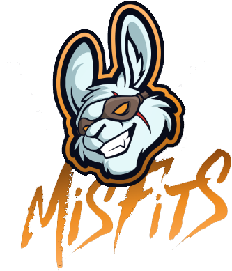 Team Misfits Welcome Back Shahzam To The Active Roster - Misfits Cs Go (388x388)