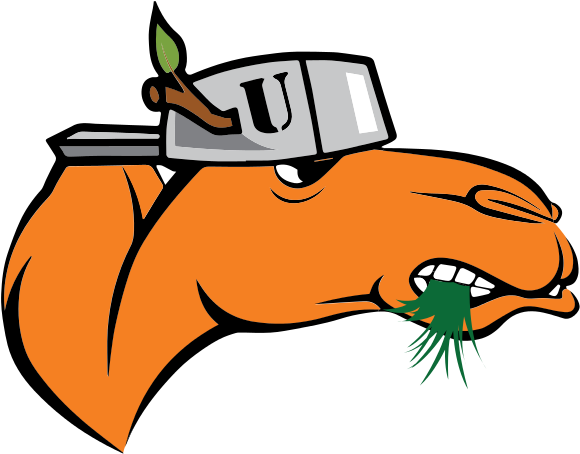 Requestlawnporn Camels Logo - Campbell Fighting Camels And Lady Camels (595x467)