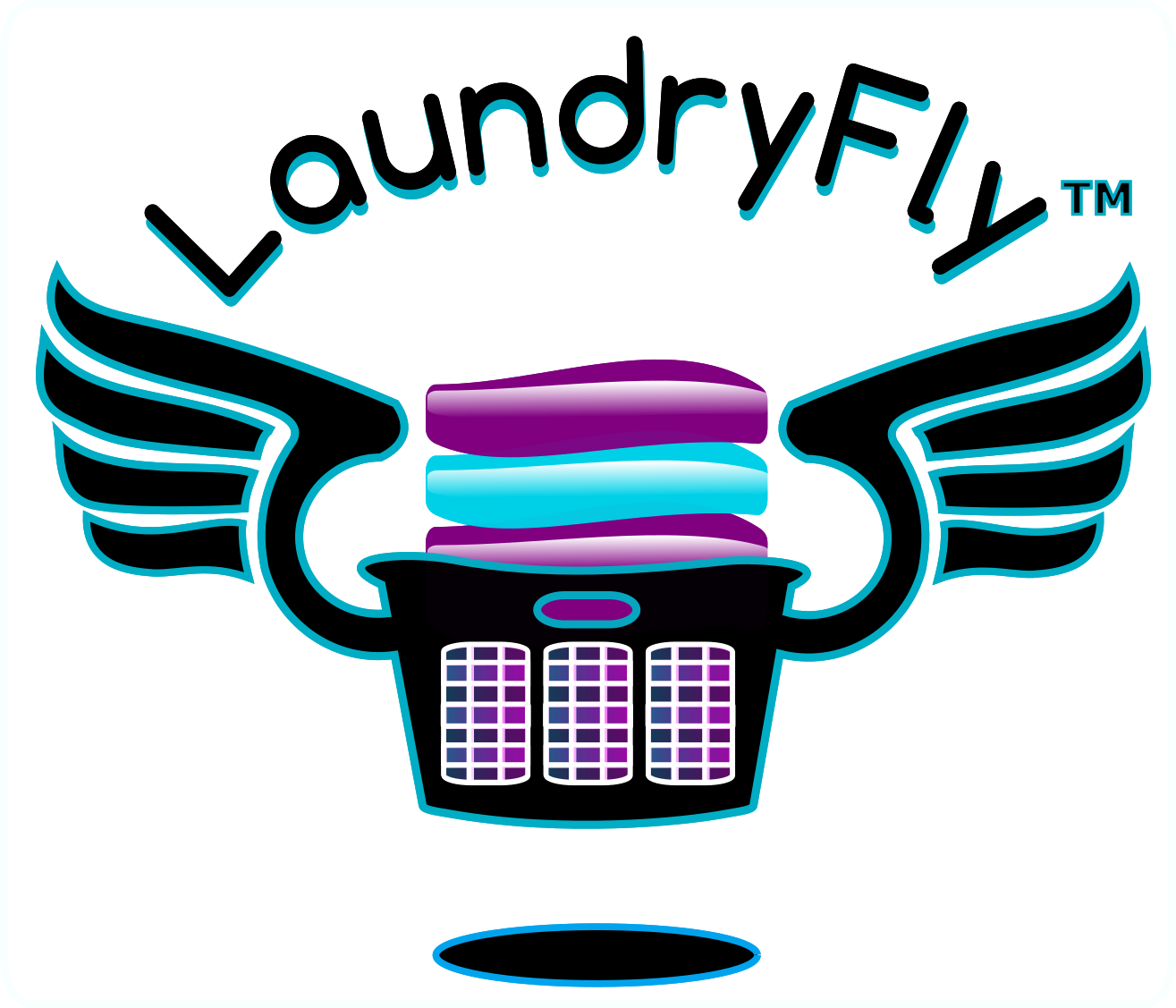 Welcome To Laundryfly Laundry Delivery Service - Logo Delivery Laundry (1315x1127)