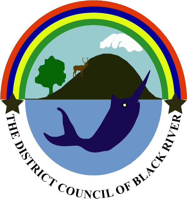 Logo Definition - Black River District Council (598x645)