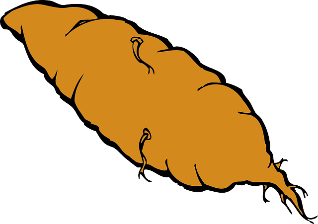 Sweet Potato Root Yam Food Veggie Vegetabl - Sweet Potato Clip Art (640x451)