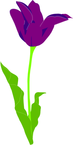 Purple Tulips Clipart (300x599)
