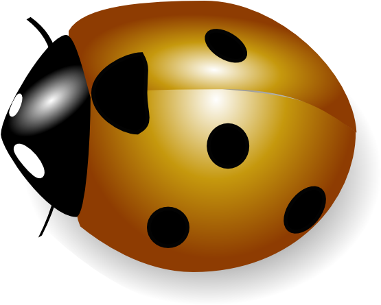 Free Vector Coccinelle Clip Art - Coccinelle Clipart (800x605)
