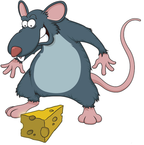 Rat Cartoon Drawing Clip Art - Cartoon Rats (620x587)
