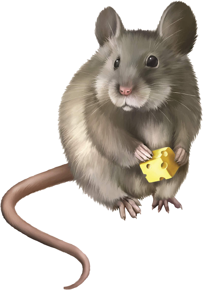 Rat Mouse Rodent Clip Art - Rat Mouse Rodent Clip Art (1024x1024)