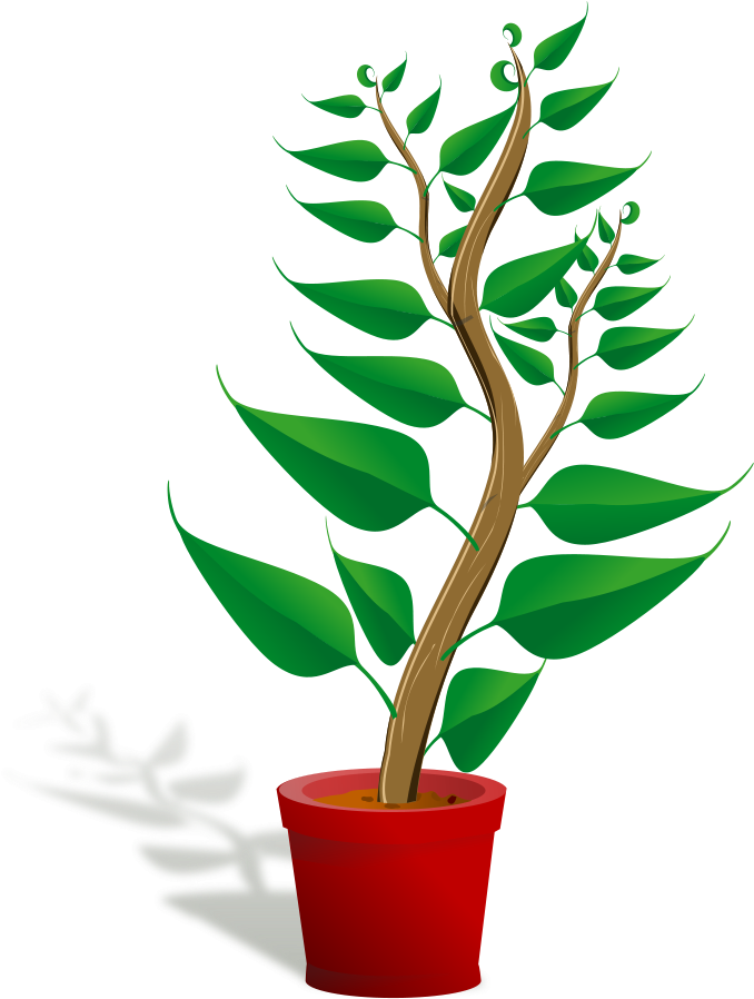 Kettle Or Tea Pot Clipart, Vector Clip Art Online, - Getting To Know Plants (684x900)