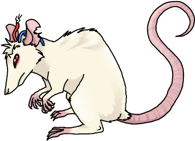 Rats In A Lab Blank (414x308)