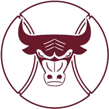 Paul Girls Tennis - South Saint Paul High School (400x400)