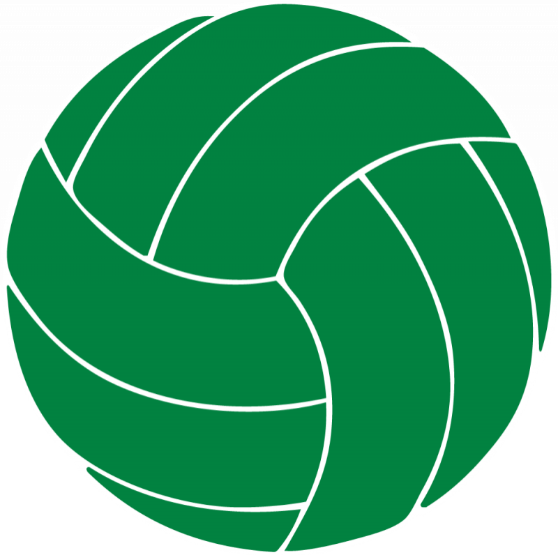 Imleagues - Texas A&m Volleyball Logo (800x796)