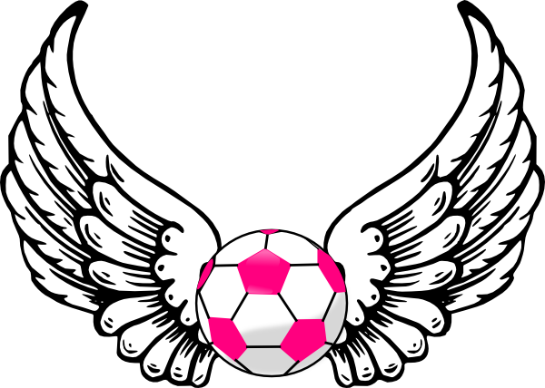 Soccer Ball With Wings (600x428)