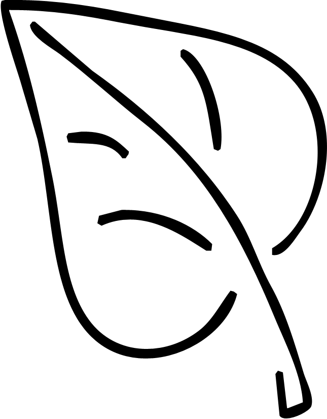 Leaf - Line Art (645x825)