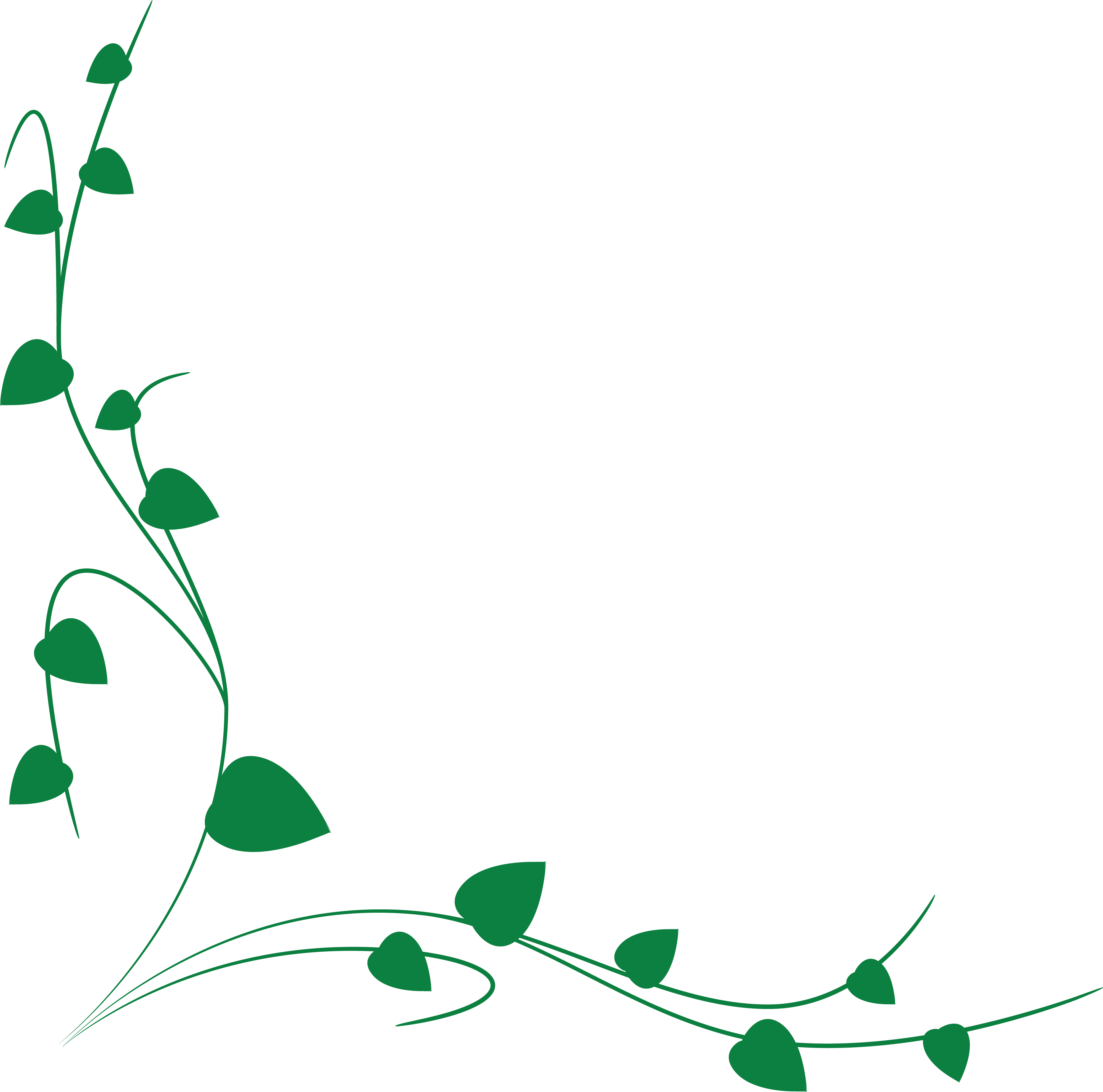 Free Clipart Of A Green Vine Border - Hình Trang Trí (4000x3959)