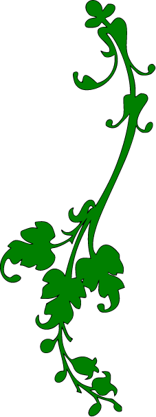 Vines Clipart - Fiskars Tampón Continuo Elegancia 3x26 Gr (227x607)