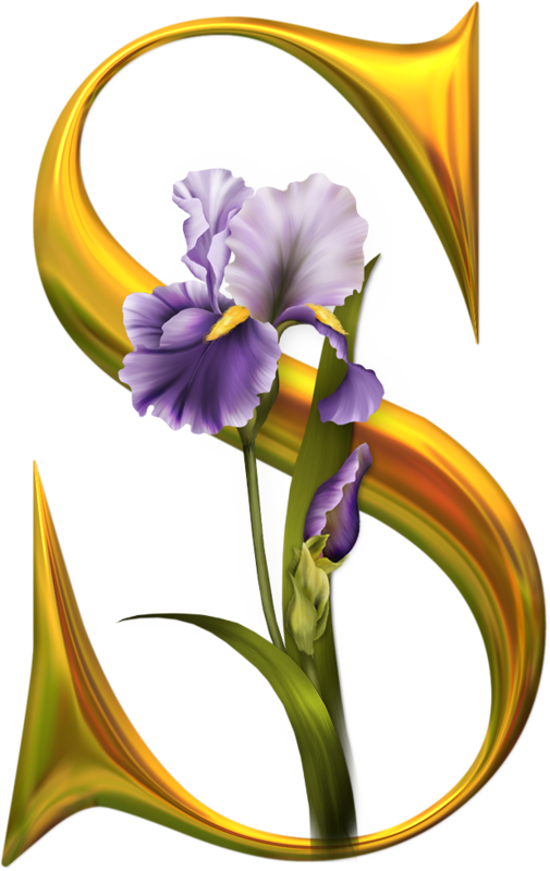 Clip Art - S Name Ka Image Download (505x800)