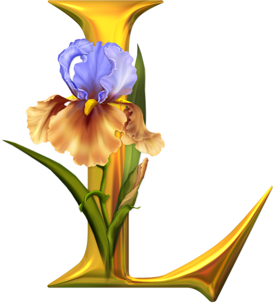 Alphabet With Roses Png - Tube Alphabet (542x600)