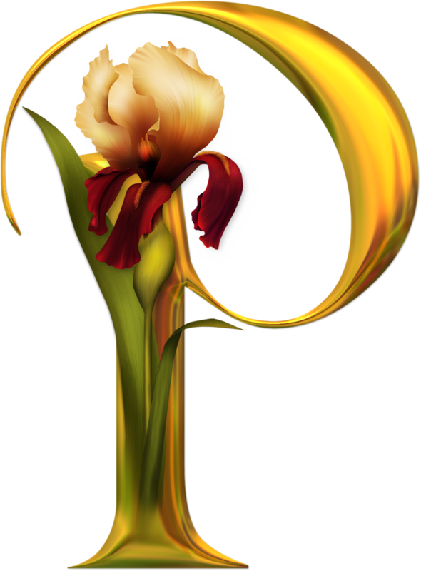 Яндекс - Фотки - P Png (590x800)