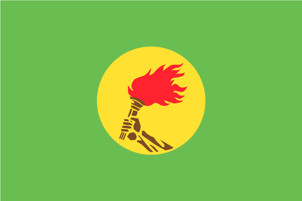 Zaire Flag (1000x1000)
