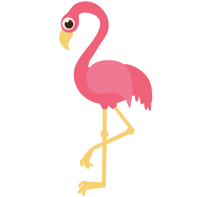 Flamingo Clip Art - Flamingo Printable (800x800)
