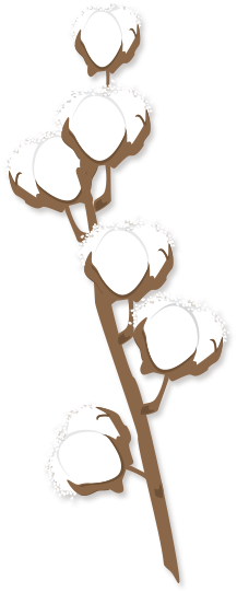 Come Walk In Tall Cotton Where The Good Life And Great - Illustration (248x567)