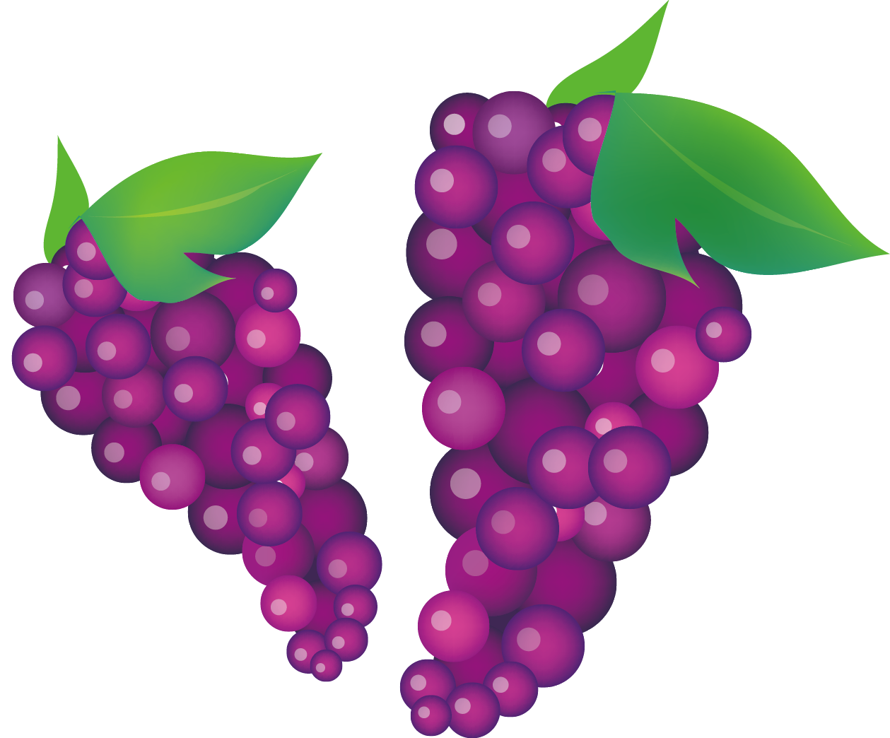 Common Grape Vine Wine Clip Art - Common Grape Vine Wine Clip Art (1259x1044)