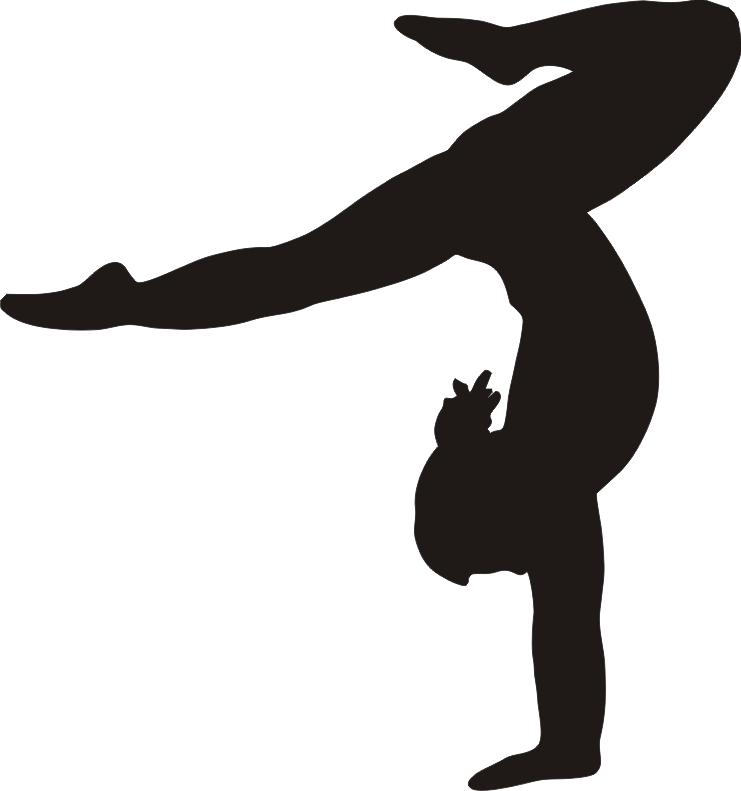 Gymnastics Png Photo - Gymnastics Png (741x791)
