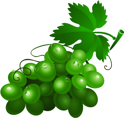 Wine Grape Drawing Fruit Clip Art - Green Grapes Cartoon (500x500)
